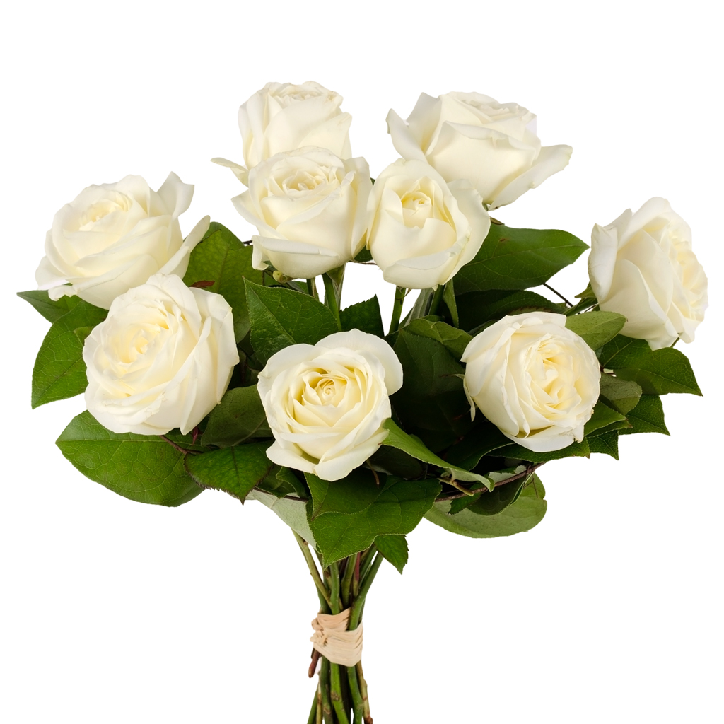 Buchet 9 trandafiri albi