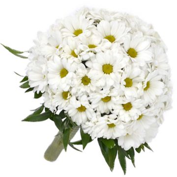 Buchet mireasa crizanteme albe