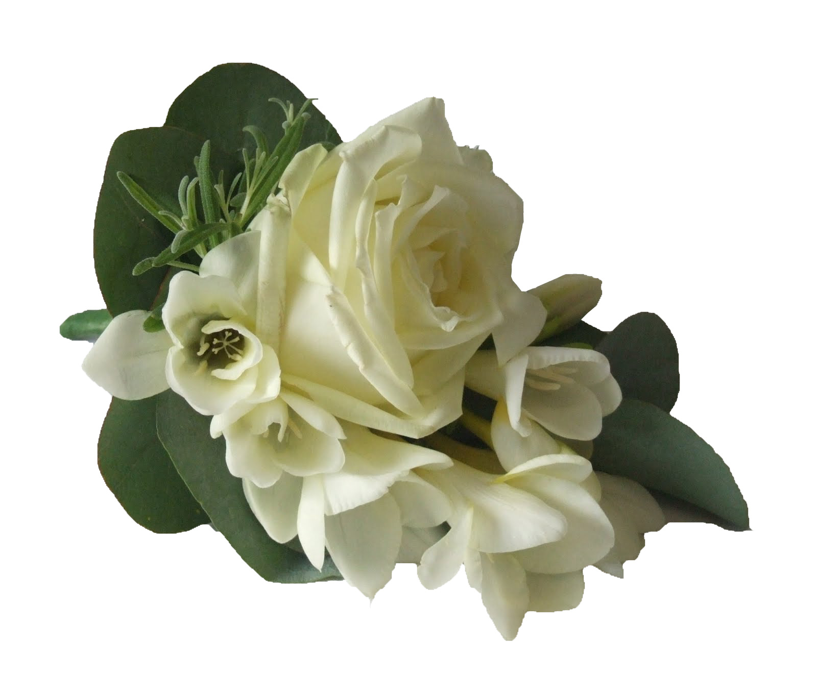 Corsaj nunta trandafiri albi cu frezii