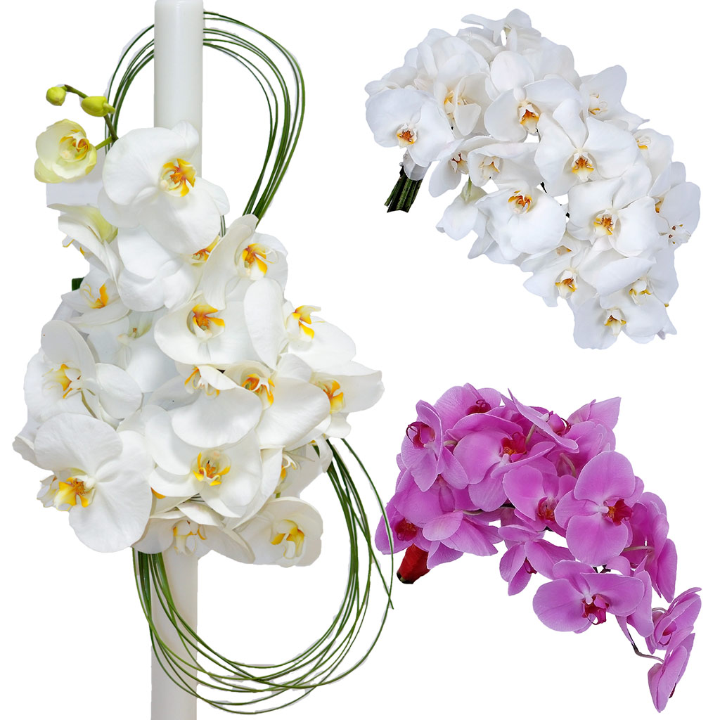 Pachet nunta din orhidee phalaenopsis
