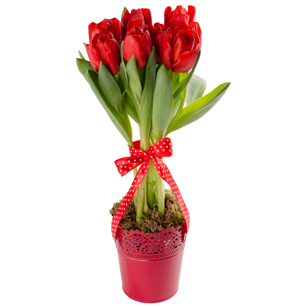 Red Tulips Floral Arrangement- Aranjament Lalele